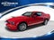 2007 Ford Mustang Shelby GT500