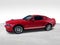 2007 Ford Mustang Shelby GT500
