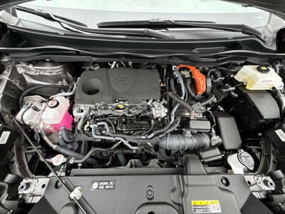 2023 Toyota Sienna Platinum 7 Passenger