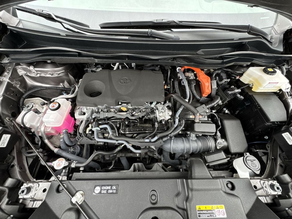 2023 Toyota Sienna Platinum 7 Passenger